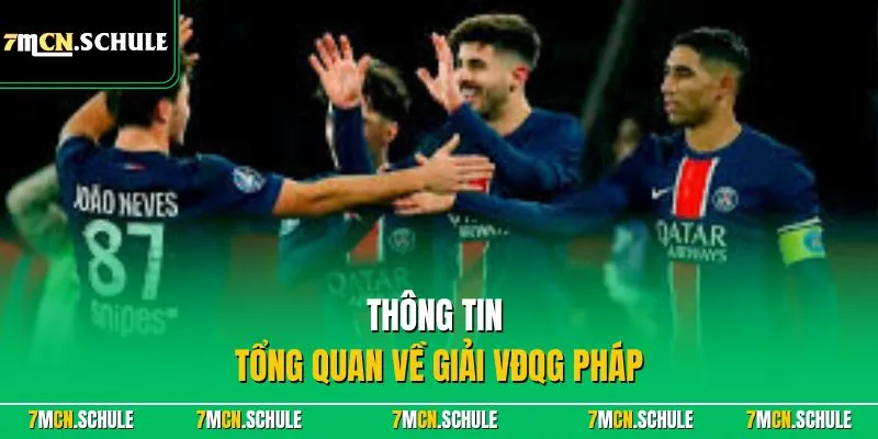 VĐQG Pháp - Giải Đấu Ligue 1 Hấp Dẫn Top Đầu Tại Châu Âu 6 Thông tin tổng quan về giải VĐQG Pháp