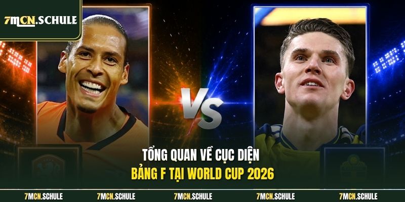 Tổng quan về cục diện bảng F tại World Cup 2026